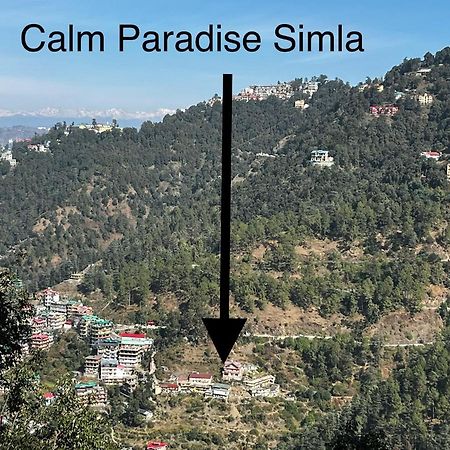 Calm Paradise 西姆拉 外观 照片