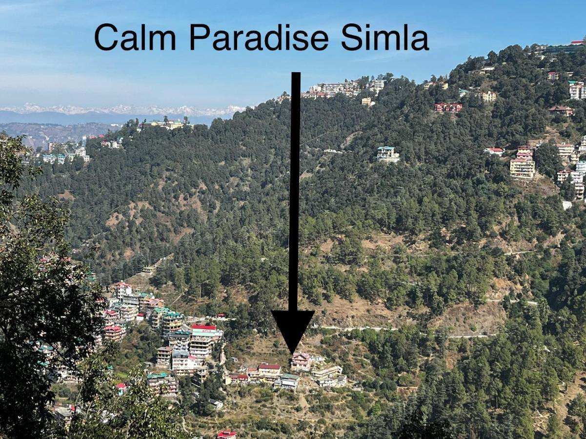 Calm Paradise 西姆拉 外观 照片